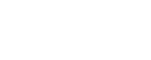 Speed Travels Logo
